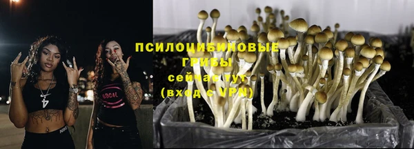 spice Беломорск