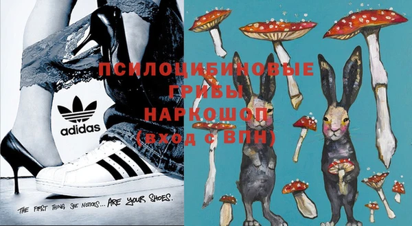PSILOCYBIN Белоозёрский