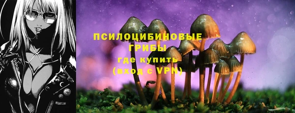 COCAINE Белокуриха