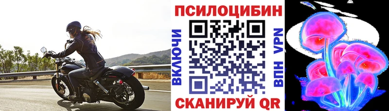 где купить   Красновишерск  Галлюциногенные грибы MAGIC MUSHROOMS 